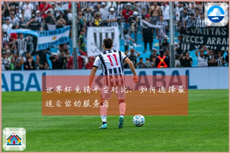 世界杯竞猜平台对比：如何选择最适合你的服务商