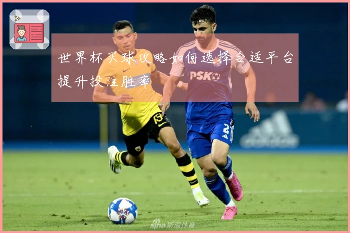 世界杯买球攻略如何选择合适平台提升投注胜率