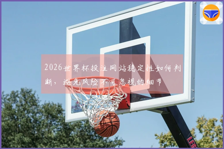 2026世界杯投注网站稳定性如何判断，避免风险不可忽视的细节