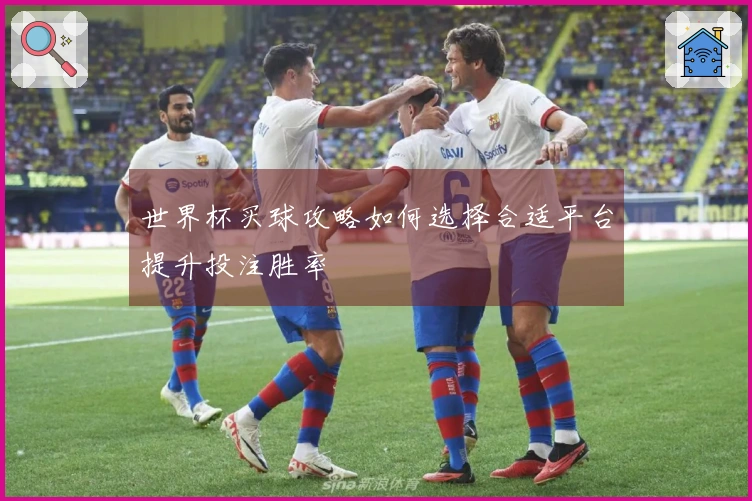 世界杯买球攻略如何选择合适平台提升投注胜率