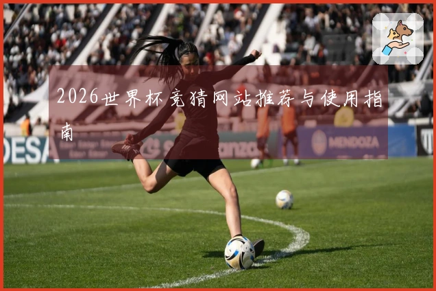 2026世界杯竞猜网站推荐与使用指南