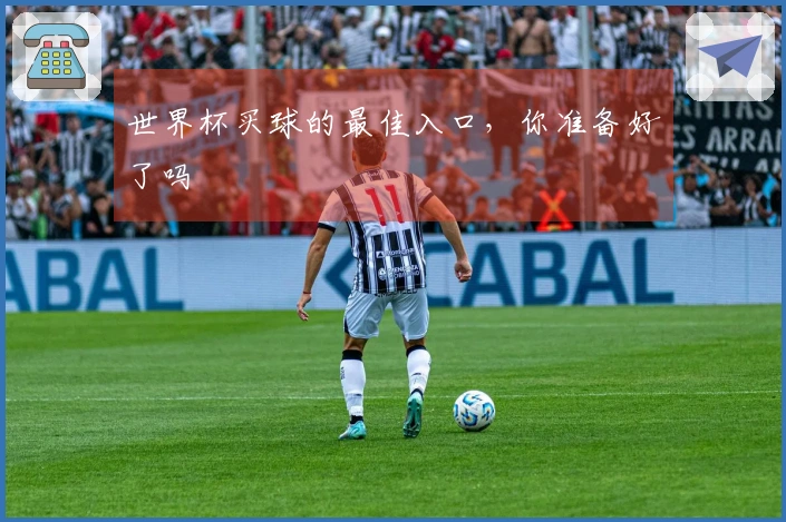 世界杯买球的最佳入口，你准备好了吗