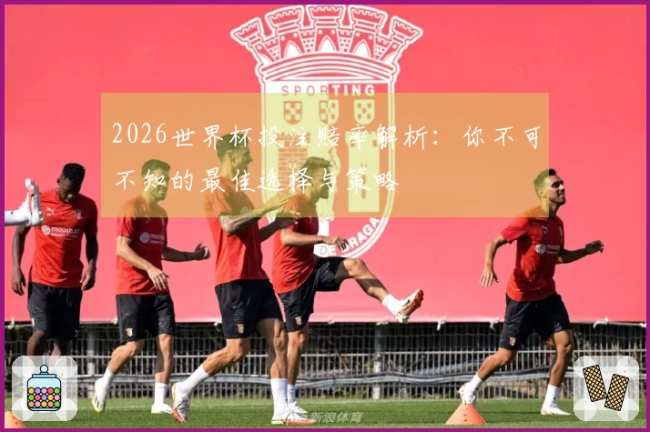 2026世界杯投注赔率解析：你不可不知的最佳选择与策略