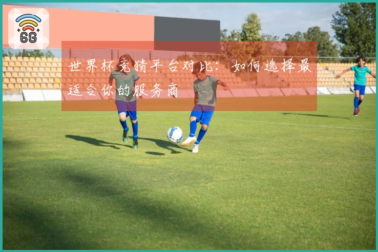 世界杯竞猜平台对比：如何选择最适合你的服务商