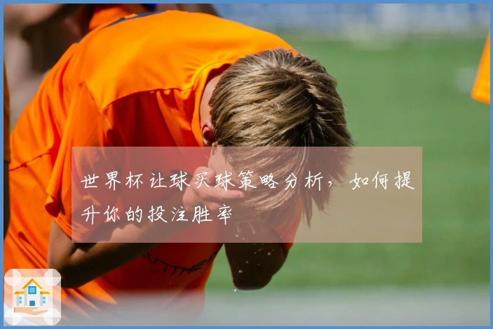 世界杯让球买球策略分析，如何提升你的投注胜率