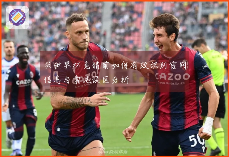 买世界杯竞猜前如何有效识别官网信息与常见误区分析