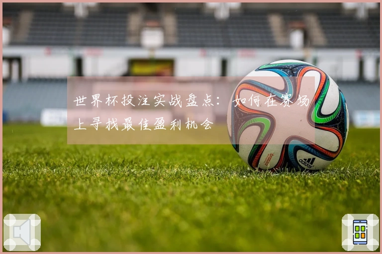 世界杯投注实战盘点：如何在赛场上寻找最佳盈利机会